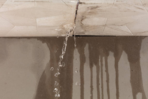Professional Sewage Cleanup technician working in Venice, FL